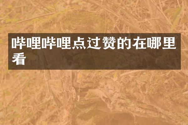哔哩哔哩点过赞的在哪里看