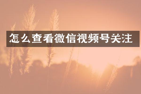 怎么查看微信视频号关注
