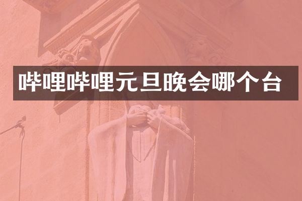 哔哩哔哩元旦晚会哪个台