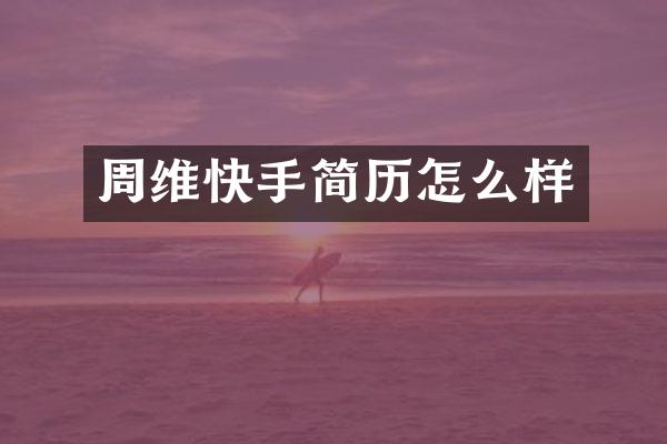 周维快手简历怎么样