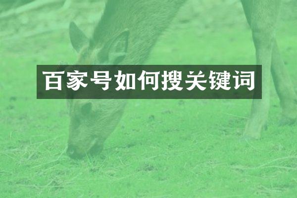 百家号如何搜关键词