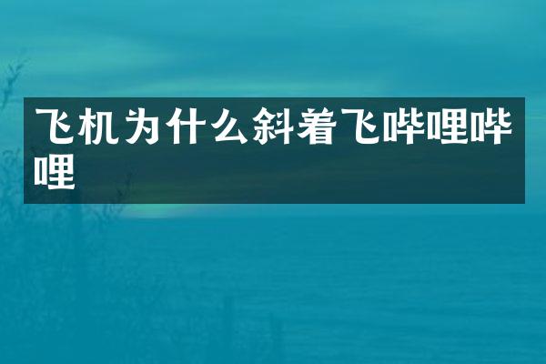 飞机为什么斜着飞哔哩哔哩