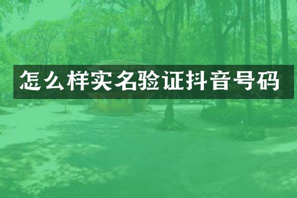 怎么样实名验证抖音号码