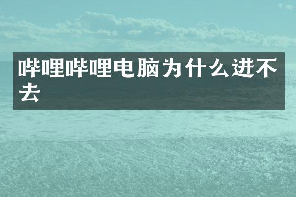 哔哩哔哩电脑为什么进不去