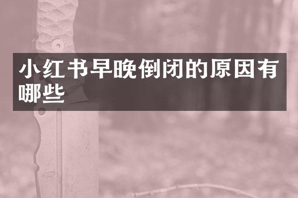 小红书早晚倒闭的原因有哪些