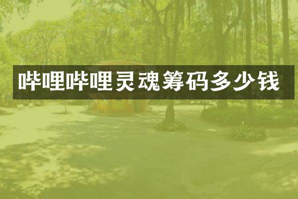 哔哩哔哩灵魂筹码多少钱
