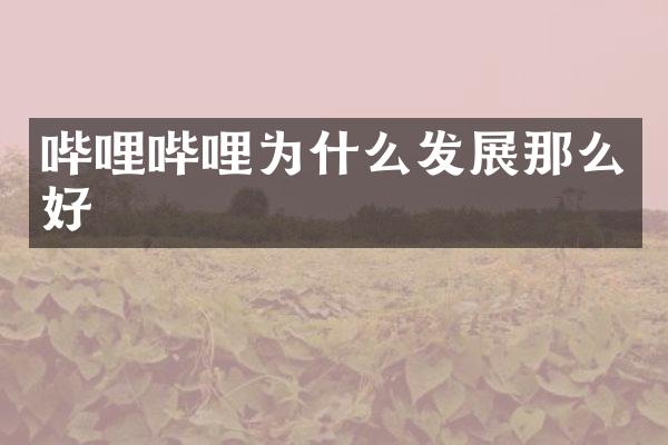 哔哩哔哩为什么发展那么好