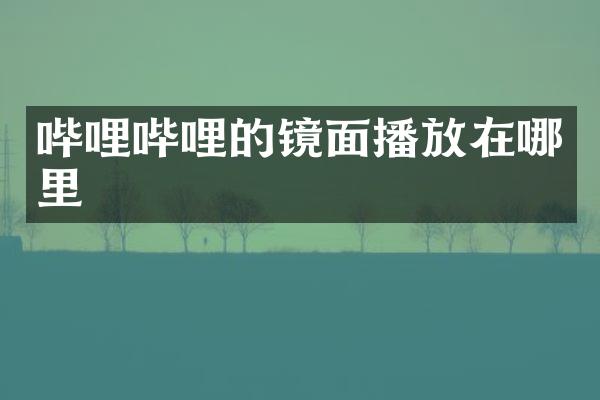 哔哩哔哩的镜面播放在哪里