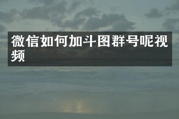 微信如何加斗图群号呢视频
