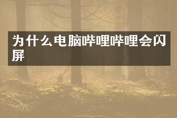 为什么电脑哔哩哔哩会闪屏