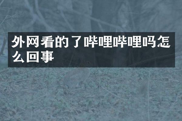 外网看的了哔哩哔哩吗怎么回事