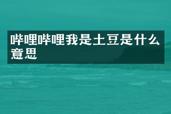 哔哩哔哩我是土豆是什么意思