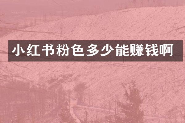 小红书粉色多少能赚钱啊
