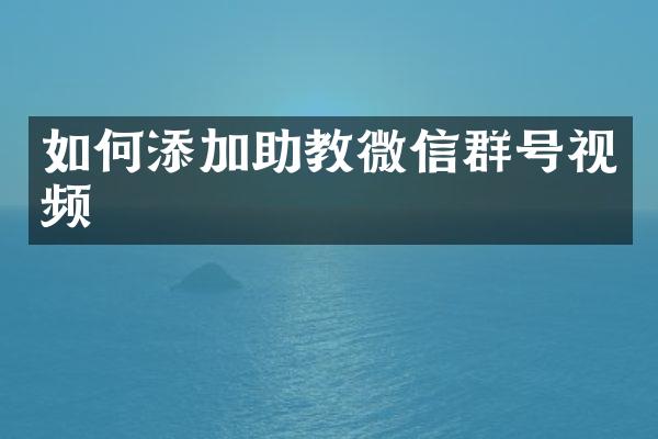 如何添加助教微信群号视频