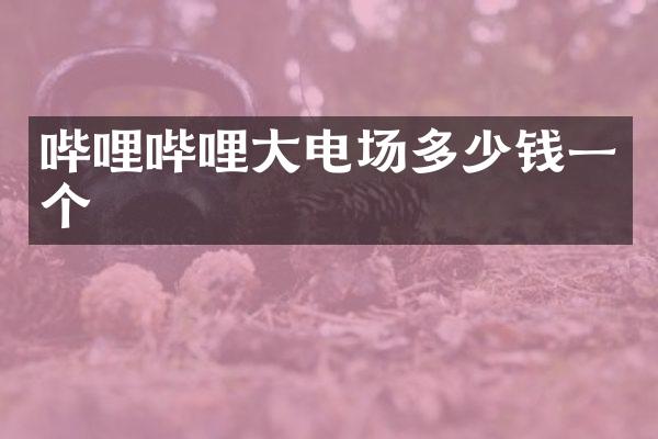 哔哩哔哩大电场多少钱一个