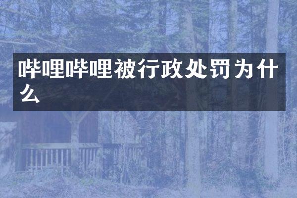 哔哩哔哩被行政处罚为什么