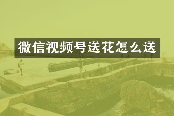 微信视频号送花怎么送
