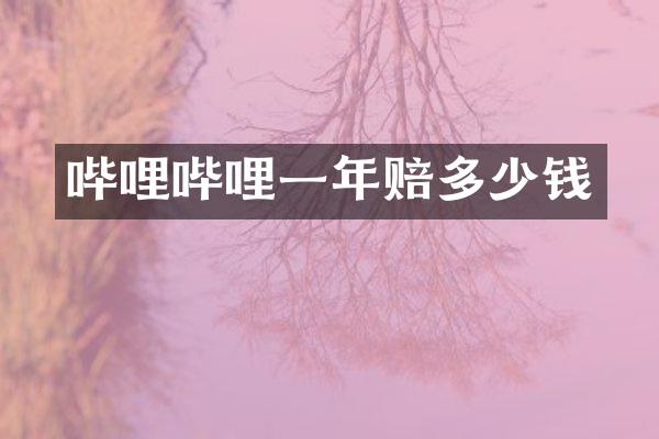 哔哩哔哩一年赔多少钱