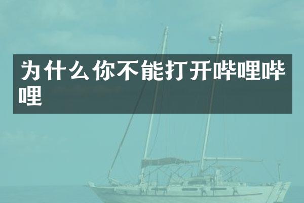 为什么你不能打开哔哩哔哩
