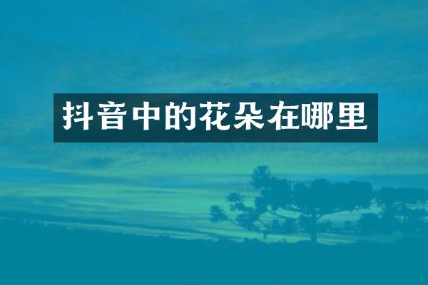 抖音中的花朵在哪里