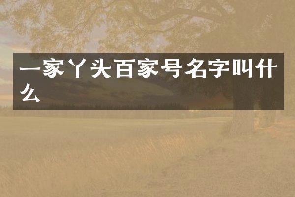 一家丫头百家号名字叫什么