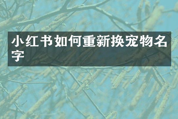 小红书如何重新换宠物名字