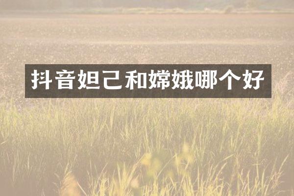 抖音妲己和嫦娥哪个好