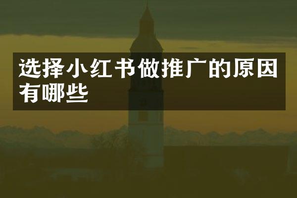 选择小红书做推广的原因有哪些