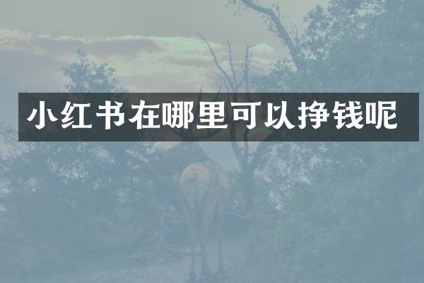 小红书在哪里可以挣钱呢