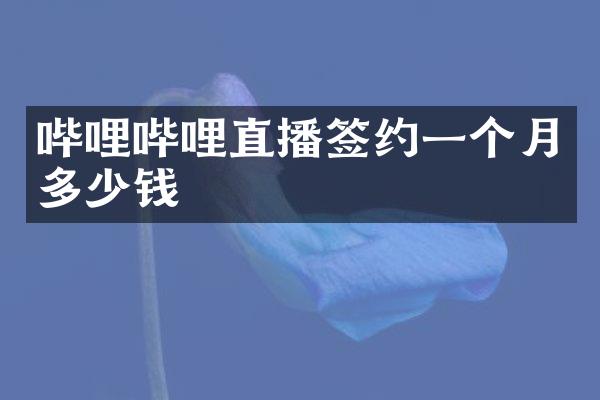 哔哩哔哩直播签约一个月多少钱