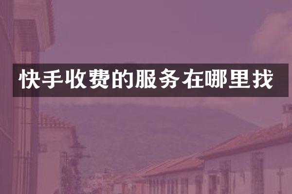 快手收费的服务在哪里找