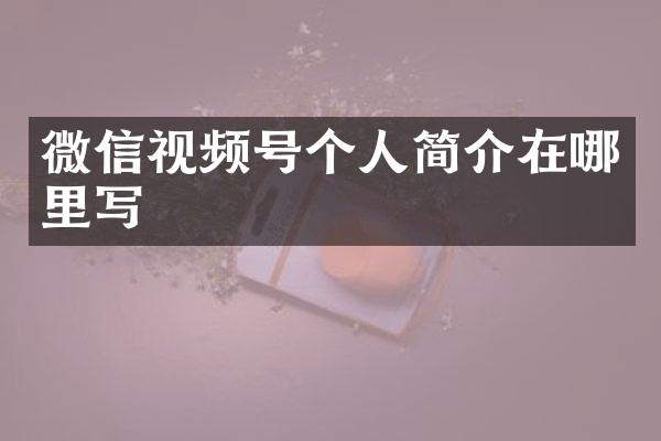 微信视频号个人简介在哪里写