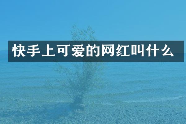 快手上可爱的网红叫什么