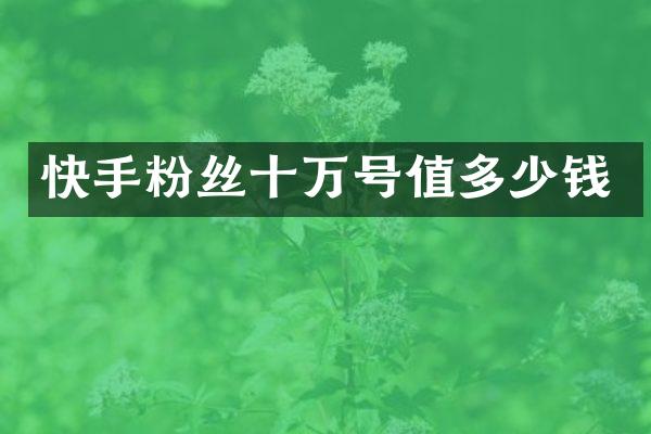 快手粉丝十万号值多少钱