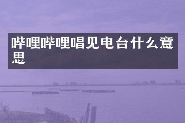 哔哩哔哩唱见电台什么意思