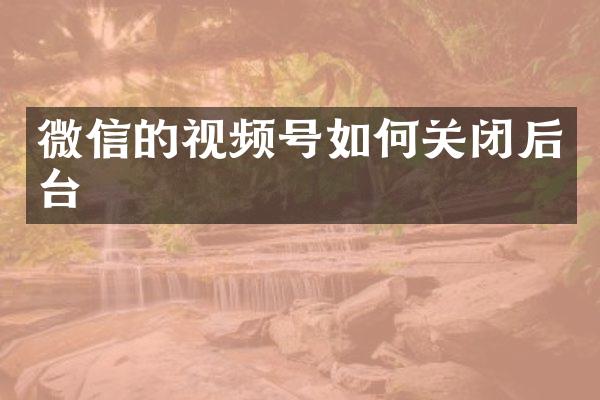 微信的视频号如何关闭后台