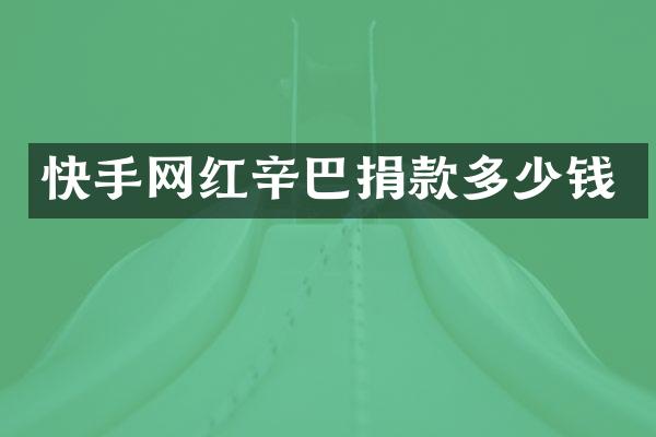 快手网红辛巴捐款多少钱