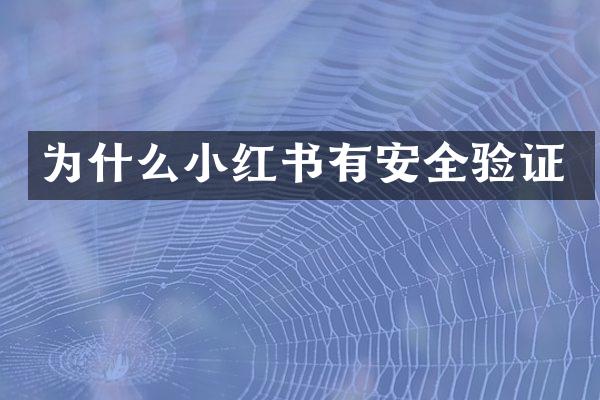 为什么小红书有安全验证
