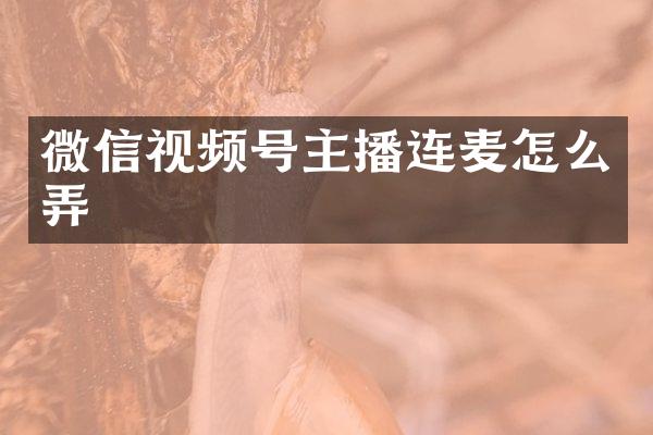 微信视频号主播连麦怎么弄