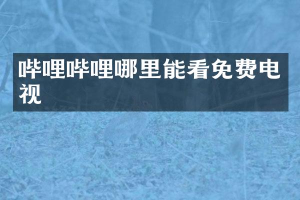 哔哩哔哩哪里能看免费电视