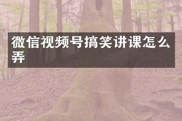 微信视频号搞笑讲课怎么弄