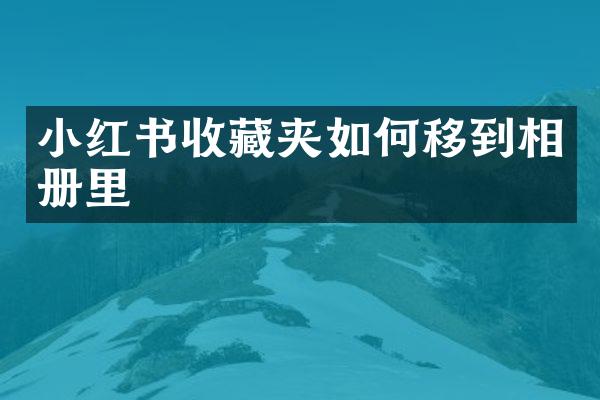 小红书收藏夹如何移到相册里