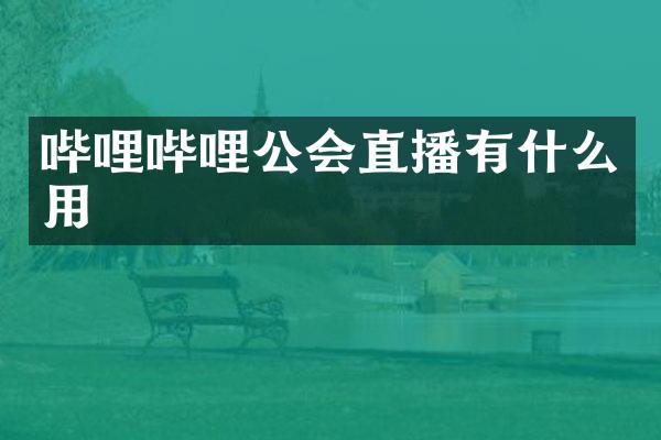哔哩哔哩公会直播有什么用