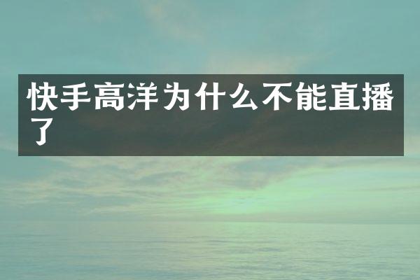 快手高洋为什么不能直播了