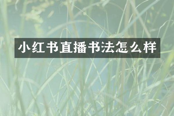 小红书直播书法怎么样