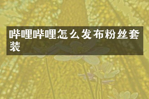 哔哩哔哩怎么发布粉丝套装