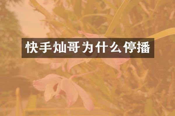 快手灿哥为什么停播