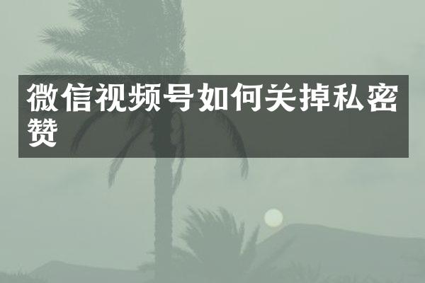 微信视频号如何关掉私密赞