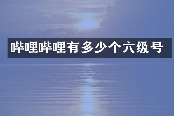 哔哩哔哩有多少个六级号