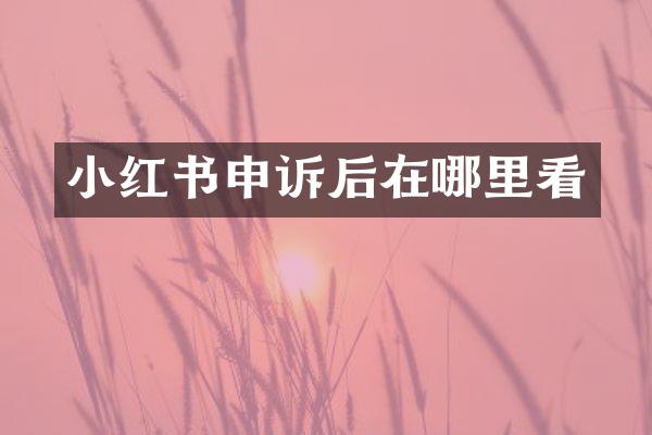 小红书申诉后在哪里看